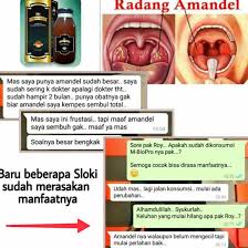 We did not find results for: Obat Radang Tenggorokan Obat Sariawan Akut Obat Amandel Shopee Indonesia