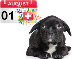 Maybe you would like to learn more about one of these? Vorbereitung Fur Den 1 August Mit Hund