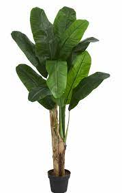 We did not find results for: Bay Isle Home 41 5 Artificial Banana Leaf Tree In Planter Reviews Wayfair