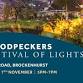 Festival of Lights at Woodpeckers event image
