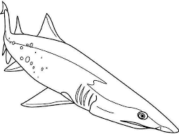 These alphabet coloring sheets will help little ones identify uppercase and lowercase versions of each letter. A Sand Tiger Shark Dive Down To The Seabed Coloring Page Kids Play Color In 2021 Shark Coloring Pages Shark Diving Coloring Pages