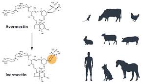 Nobelpreise 2015 Ein Medizinnobelpreis Fur Medizin Spektrum Der Wissenschaft