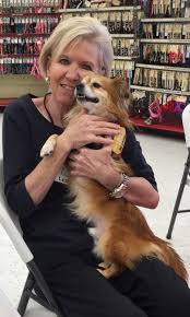 Btbpr also assists arizona's retired public safety k9's with medical needs. Tweeton Make A Resolution To Volunteer At Arizona Small Dog Rescue Your Valley