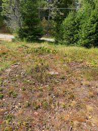 Image result for site:byggahus.se naturtomt