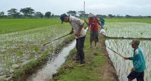 Check spelling or type a new query. Pokok Pikiran Teks Sistem Irigasi Subak Mikirbae Com