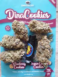 Big pete's treats are always fresh, consistant and . Blueberry Cookies Feminisierte Hanfsamen Blueberry Cookies Kaufen