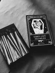 Olume Fisildayan Adam Olduyse Kibrit Copu Mezarligi Neden Bos 2020 Kitap Kitap Kurtlari Kitap Listeleri