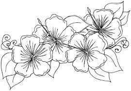 There are tons of great resources for free printable color pages online. Free Printable Hibiscus Coloring Pages For Kids
