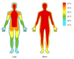 Temperatura corpului este cel mai important indicator al sanatatii noastre. De Ce Corpul Omului SÄƒnÄƒtos Are Totdeauna O TemperaturÄƒ ConstantÄƒ Cartea SÄƒnÄƒtÄƒÈ›ii