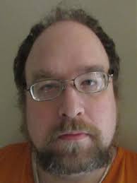 Plea deals with two men accused of sex offenses with children led to both  men, James R. Johnson, 39, of Dixon, and David A. Donius, 37, of St.  Robert, taking Alford pleas