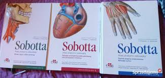 Anatomia Czlowieka Ksiazki Sprzedajemy Pl