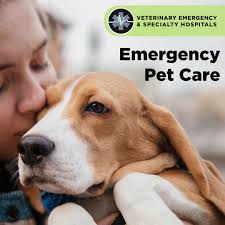 Veterinary Emergency & Specialty Hospitals
