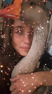 #inhawaiian #gusthegoose #soulconnection #goose #heartgoose #animalsoftiktok