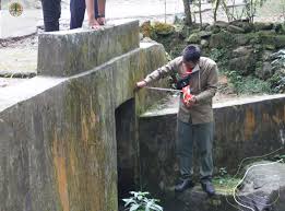 .fauna konservasi flora dan fauna dibagi menjadi dua bagian pengelolaan, yaitu kawasan suaka alam (ksa) dan kawasan pelestarian alam (kpa). Kementerian Lhk On Twitter Khusus Fokus Pada Pembuatan Jalan Strategis Nasional Di Kawasan Hutan Sejak Setahun Lalu Klhk Telah Menerbitkan Peraturan Menteri Lingkungan Hidup Dan Kehutanan Nomor 23 Tahun 2019 Tentang Jalan