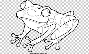 Search through more than 50000 coloring pages. The Frog And Toad Coloring Book Frog And Toad Are Friends Png Clipart Free Png Download