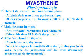 What is a myasthenic crisis? Ppt Myasthenie Powerpoint Presentation Free Download Id 6156170