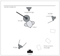 The Five Basic Portrait Lighting Setups Photography How To Articles What S Your Specialty Photog Portrait Lighting Portrait Lighting Setup Lighting Setups