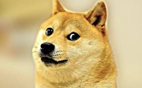 Both wanted to create a fun cryptocurrency that will appeal beyond the core bitcoin audience. How Can I Buy Dogecoin And Why Is It Dropping