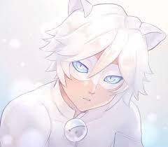 More Stuff And Fluff Fluff Stuff New Miraculous Ladybug Anime Miraculous Ladybug Wallpaper Miraculous Ladybug Funny