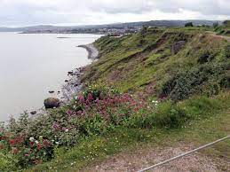 35 More Cases Of Indian Variant Of Concern Found In Seaside Resorts Over Bank Holiday Weekend Wales Online