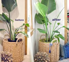 Diy Moss Potted Plant Cover Love Maegan Plant Pot Diy Plant Covers Diy Plants