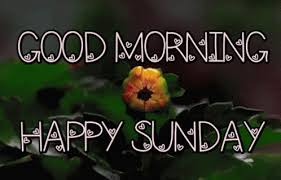 Gif nature good morning happy sunday. Good Morning Images Nature Happy Sunday Gif Novocom Top