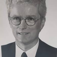 Who can take down a chimney and remove debris in Paris, Ontario?