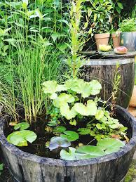 Image result for garden pond ideas