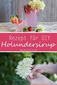 Selbstgemacher Holunderblutensirup Mit Birkenzucker We Go Wild Rezept Birkenzucker Holunder Sirup Selber Machen