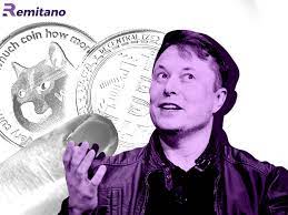 However, this enthusiasm seems to have. Elon Musk Hints At Developing His Own Cryptocurrency