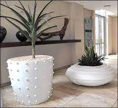 Our variety of indoor plant pots ensures you'll please your plants and suit your style. Large Indoor Plants Low Light Office Furniture Large Indoor Plants Large Plant Pots Indoor Plants Low Light