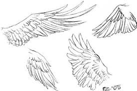 Drawing Tutorials Wings Wings Drawing Bird Outline Bird Drawings Drawing anime and manga figures is a concept that many artists on this site love doing. wings drawing bird outline bird drawings