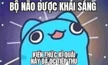 images?q=tbn:ANd9GcRptxUZini3_5Hiu0Uq3uInCGKEBTfCkY0EGykLDpGbvw&s