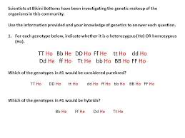 Spongebob genetics answer key each question. Spongebob Genetics 1 2 To Be Used With Ppt Video Online Download