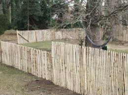 Cloture Ganivelle Chataignier Sur Acacia Amenagement Jardin Cloture Ganivelle Cloture