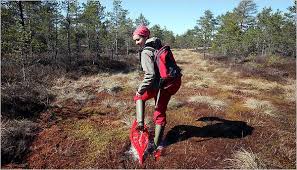 in estonia, jiggling and bog trekking