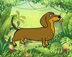 16 de agosto dia del perro. Dibujo De Perro Salchicha Pintado Por En Dibujos Net El Dia 16 08 18 A Las 16 58 37 Imprime Pinta O Colorea Tus Propios Dibujos