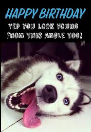 Funny Happy Birthday Images For Facebook Pin By Michael Anas On Happy Birthday And Sayings Happy Birthday Quotes Birthday Greetings For Facebook Birthday Greetings Funny