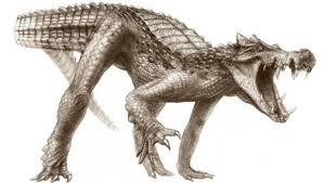 How Fast Can Crocodiles Run In Comparison With Humans? - Quora