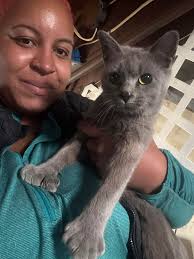 I have just finished KOA. My cats name is Anna. I called her Aelin.. 🤦‍♀️🤣