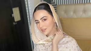 Sana Khan Quits Entertainment Industry Lesser Known Facts About Salman Khan S Jai Ho Co Star People News Zee News Love you till the end (house mix). sana khan quits entertainment industry