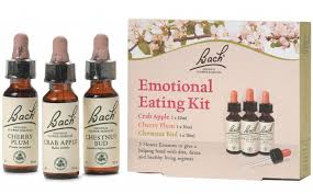 Con flores de bach, una flor que os sorprenderá por sus propiedades, pero si quieres saber más. Gotas De Flores De Bach Para Ninos Habitos De Ninos