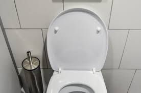 J'ai d'abord pris la mesure de mon wc pour savoir si je devais commander la lunette classique ou la lunette large. Remplacer La Lunette De Votre Wc Tout Lunettes Toilettes Agencecormierdelauniere Com Agencecormierdelauniere Com