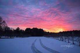 A shot from a few weeks ago at Sunny Crest farm in Londonderry