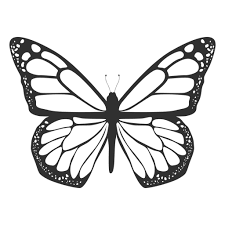 Free Free 307 Butterfly Monarch Svg SVG PNG EPS DXF File