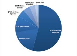 georgia state budget overview for fiscal year 2017 georgia