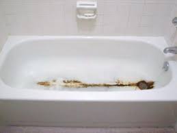 Search a wide range of information from across the web with smartsearchresults.com. No Spray Tub Tile Restoration Kits Spr Tub Arb Roof