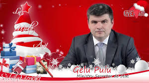 Gelu puiu, secretar de stat în ministerul mediului, a demisionat. Gelu Puiu Ministru Secretar De Stat Youtube