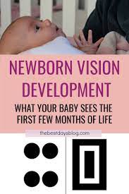 Newborn Vision Development My Newborn Baby Newborn Eyesight Newborn
