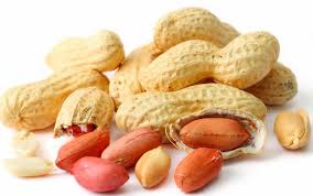 Hasil gambar untuk kacang tanah